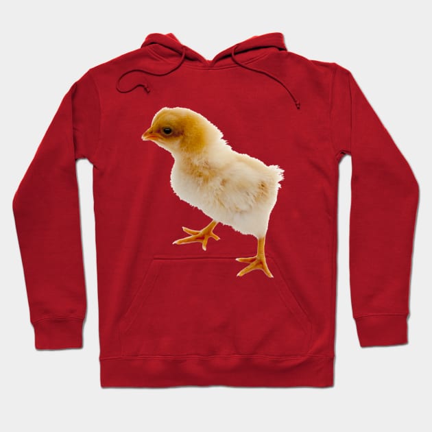 Cute Chick Hoodie by RBailey